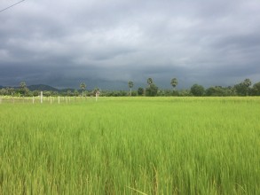 CAM - Kampot