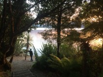 NZ - Lake Mapourika