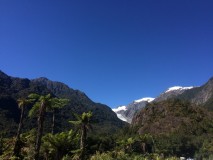 NZ - Franz Josef Glacier