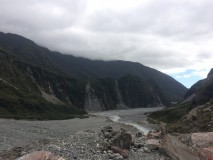 NZ - Fox Glacier